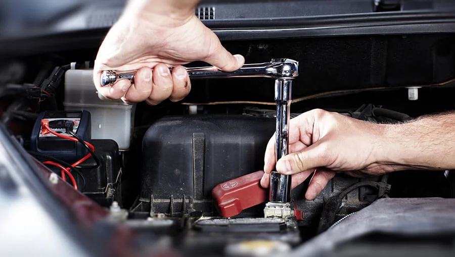 Cuidados antes das trilhas off-road são fundamentais - Auto - Diário do  Nordeste