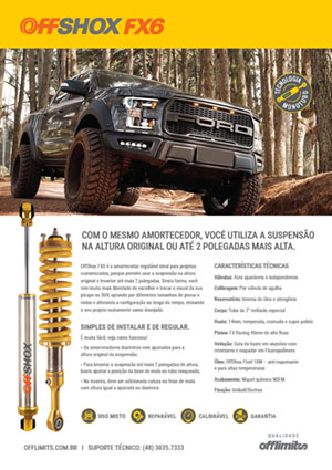 Flyer Offshox