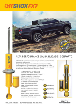 Flyer Offshox